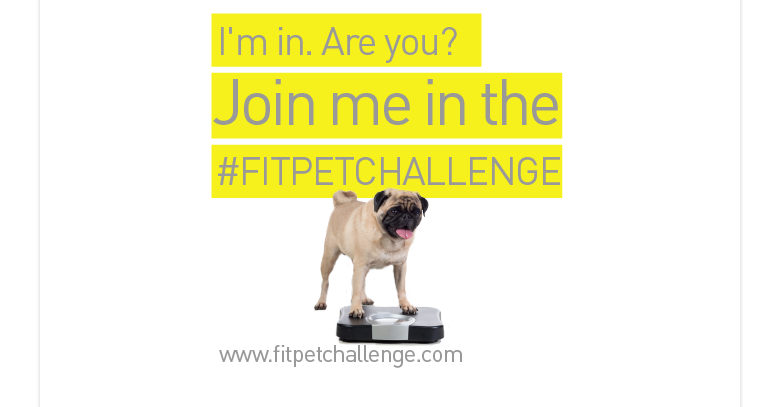 FitPetChallenge