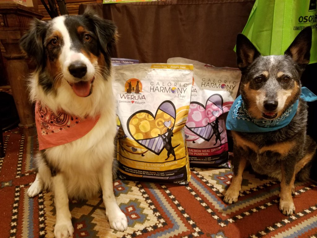 15 Awesome Brands from BlogPaws