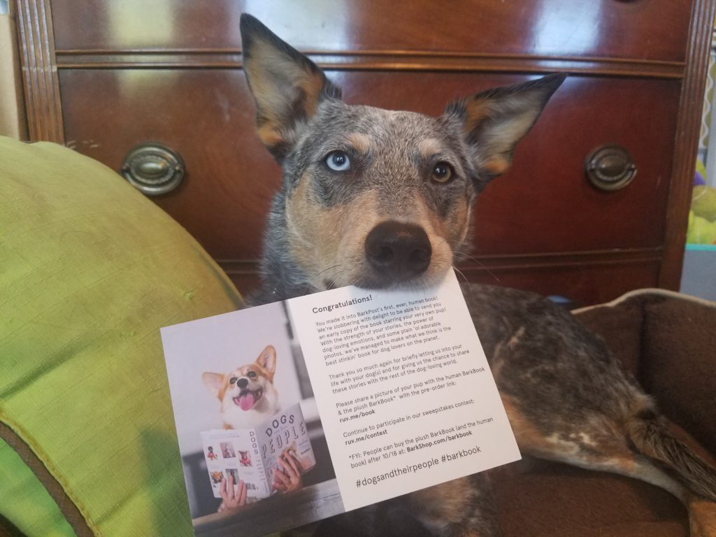 BarkPost and BarkBox book