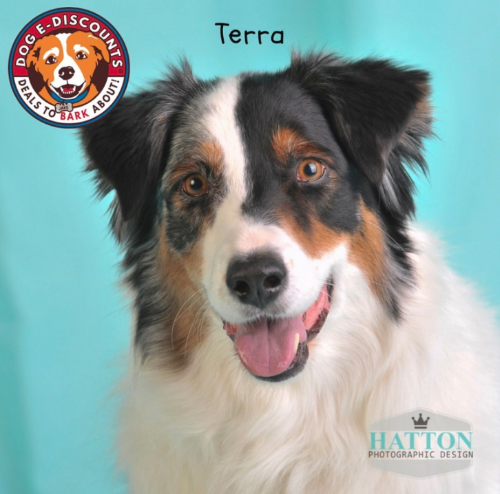 Terra Wins Phoenix Dog Casting Call Tiffany's Diamond Dogs