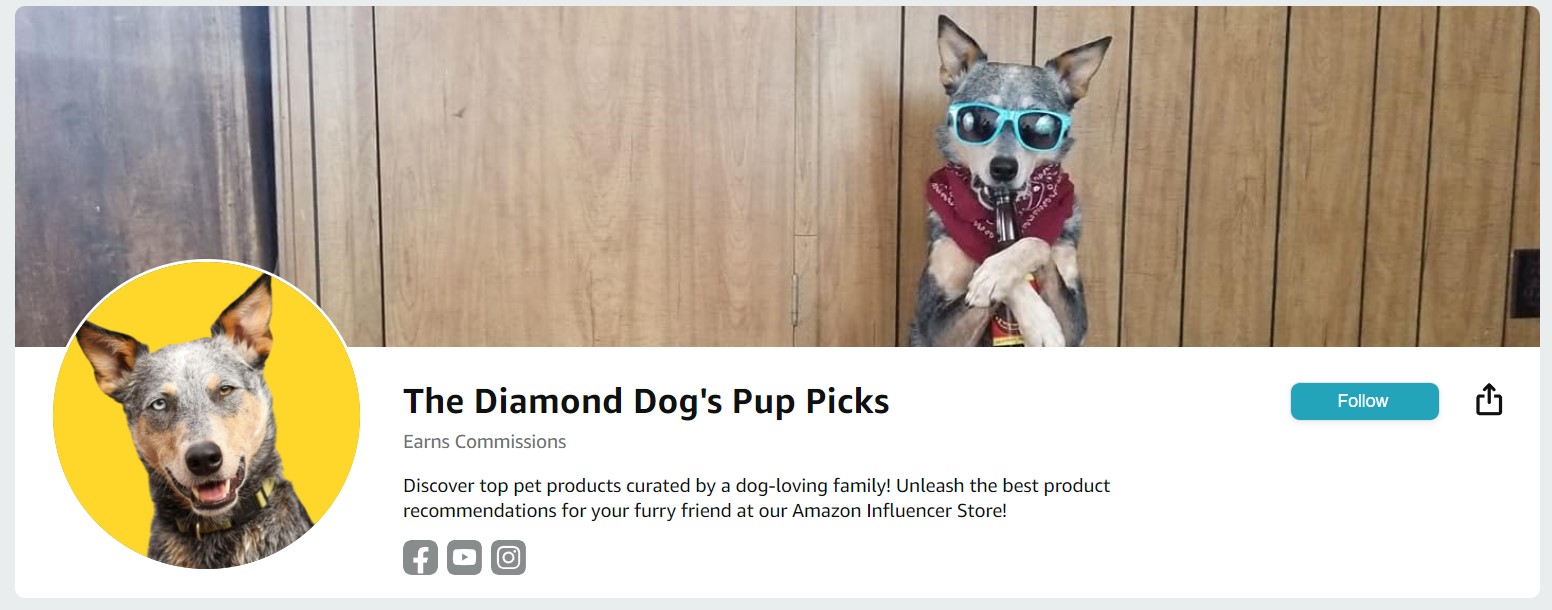 Amazon Influencer Storefront for pets