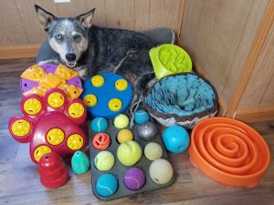 slow feeder canine enrichment puzzles and toys