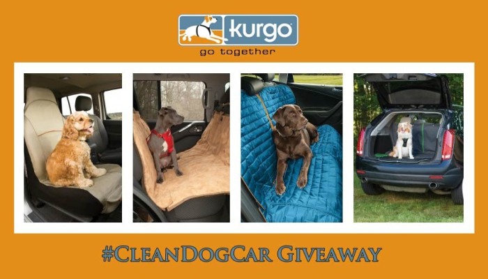 kurgo-cleandogcar1-900x515
