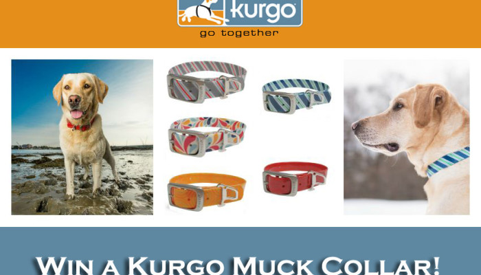 kurgo-muck-collage