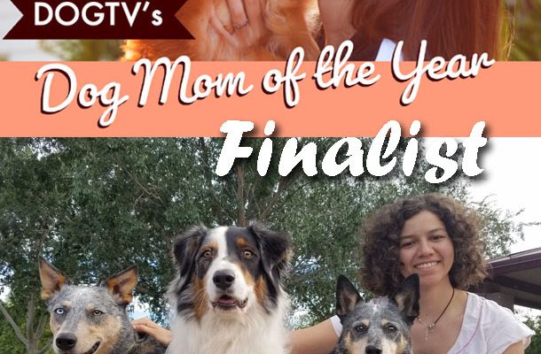 DogTV Dog Mom of the Year