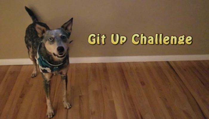 Dog Does Git Up Challenge Vid Thumbnail