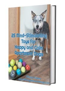 https://tiffanysdiamonddogs.com/wp-content/uploads/2023/10/E_book_Cover-25-Mind-Stimulating-Toys-for-Happy-and-Calm-Apartment-Dogs-e1698778196867-214x300.png