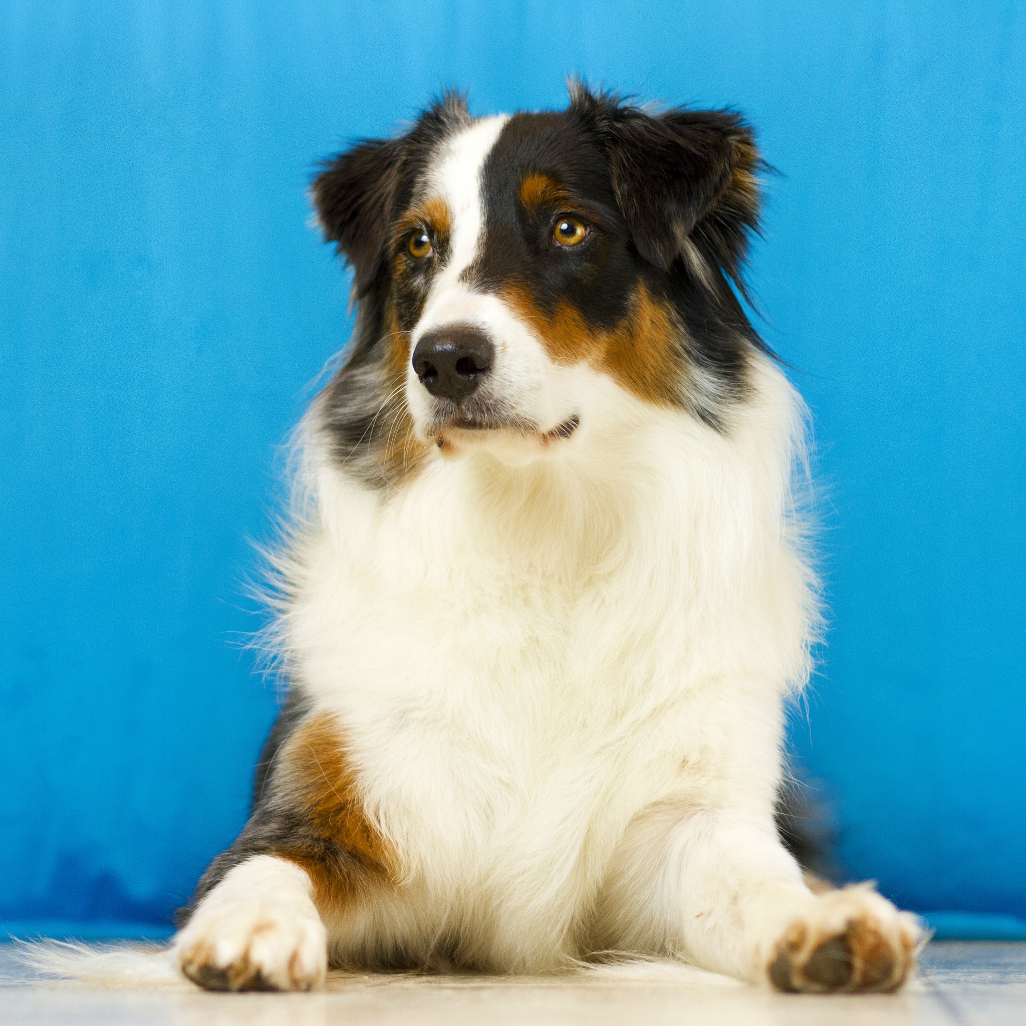 90595292_1480313875478460_7861042126056849408_n